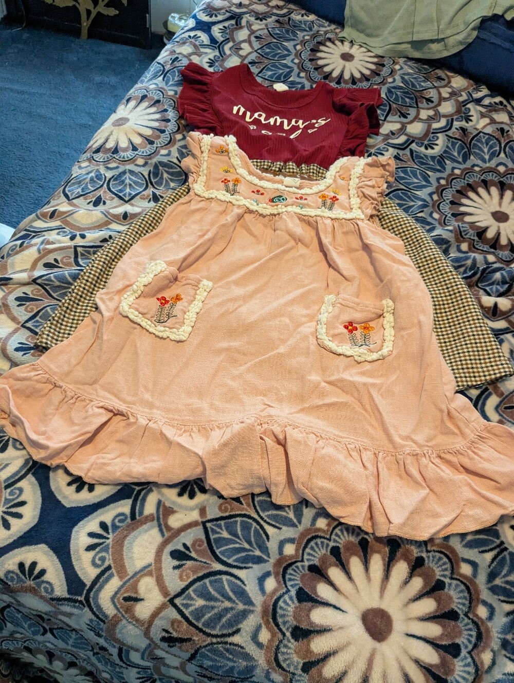 SHEIN Peach Embroidered Ruffle Dress And Burgundy And Plaid Dress for Girls